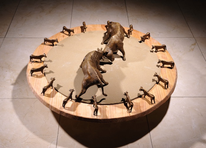 소싸움 Bullfight